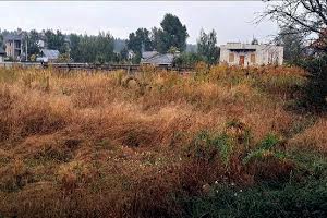 участок по адресу с. Березовка, 
