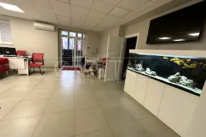 комерційна за адресою Центральна вул., 1