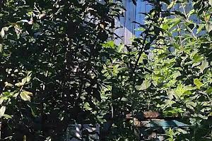 участок по адресу с. Микуличи, Ворошилова