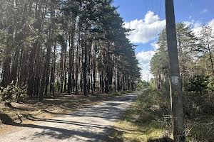 ділянка за адресою с. Ясногородка, 