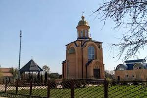 ділянка за адресою с. Глібівка, Лесі Українки, 59