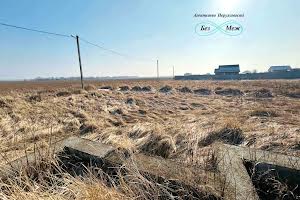 участок по адресу Борисполь, Полевая ул.
