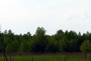 участок по адресу с. Дружня, Андріївська, 9