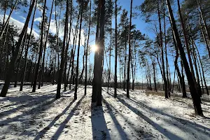 ділянка за адресою Київ, 