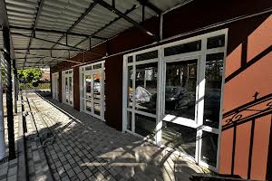 комерційна за адресою Василя Стуса вул. (Пушкінська), 62л