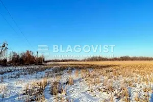 ділянка за адресою с. Копилів, 