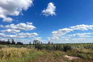 ділянка за адресою с. Майданівка, 