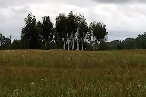 дом по адресу озерна