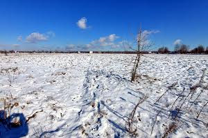 участок по адресу с. Вишенки, Лан