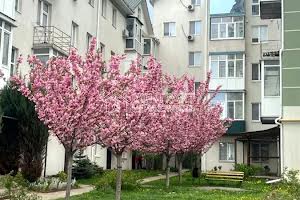 квартира за адресою Новоолександрівська вул., 54а к5