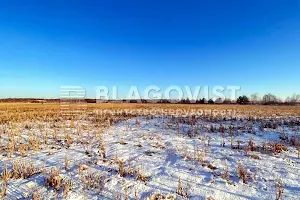 ділянка за адресою с. Копилів, 