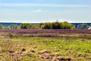 участок по адресу Ирпень, Луговая ул.