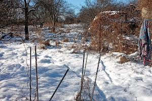 будинок за адресою Морських Піхотинців вул. (Мічуріна), 8