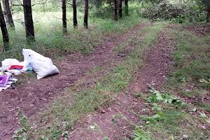 участок по адресу с. Малютянка, Сонячна