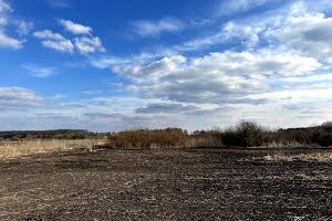 участок по адресу с. Пищики, 