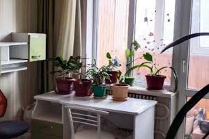 квартира по адресу Академика Павлова ул., 319а
