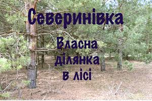 ділянка за адресою с. Северинівка, 