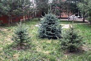 будинок за адресою Осокорки