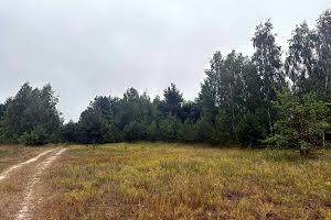 будинок за адресою с. Тарасівщина, Миру