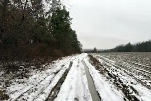 ділянка за адресою с. Гатне, 