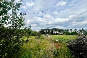 будинок за адресою с. Берестянка, Невідомого Солдата, 31