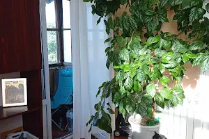 квартира за адресою Садова вул., 19