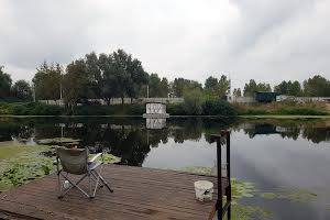 будинок за адресою Центральна вул.