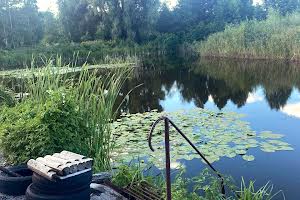 ділянка за адресою с. Ясногородка, 