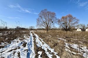 ділянка за адресою Городня