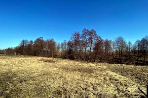 ділянка за адресою с. Мироцьке, 