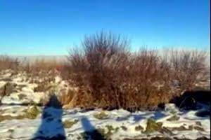 участок по адресу Рошкевич