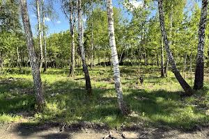 ділянка за адресою Федора Кричевського, 25б