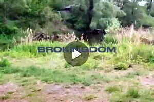 участок по адресу вул.Облепихова