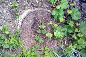 ділянка за адресою 