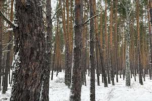 участок по адресу Шервудская ул.