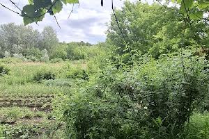 будинок за адресою Запорізька