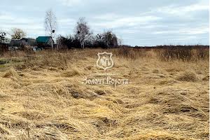 участок по адресу с. Загальцы, Независимости ул. (Жовтнева), 21