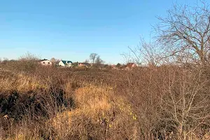 участок по адресу Пасіки-Зубрицькі, 1
