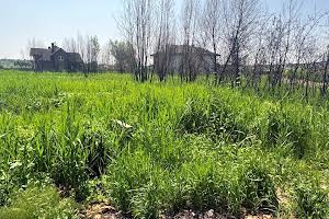 ділянка за адресою Виноградна вул., 27