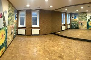 будинок за адресою смт. Козин, Олександрівська вул., 1