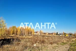ділянка за адресою смт. Калинівка, 