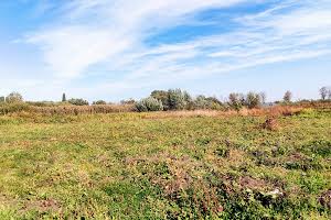 ділянка за адресою Борисоглібська, 9