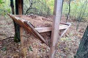 будинок за адресою Соснова