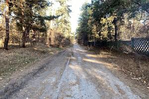 ділянка за адресою Анатолія Солов'яненка вул.