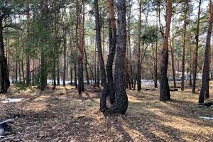 ділянка за адресою с. Підгірці, Озерна вул., 33