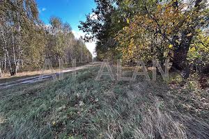 участок по адресу с. Заваловка, сонячна