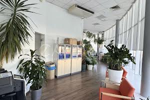 комерційна за адресою Тараса Шевченка бульв., 33-Б