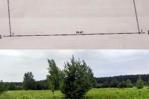 ділянка за адресою с. Блиставиця, Кленова