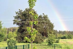 будинок за адресою с. Лебедівка, Набережна вул.