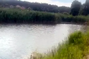 участок по адресу с. Кременище, 